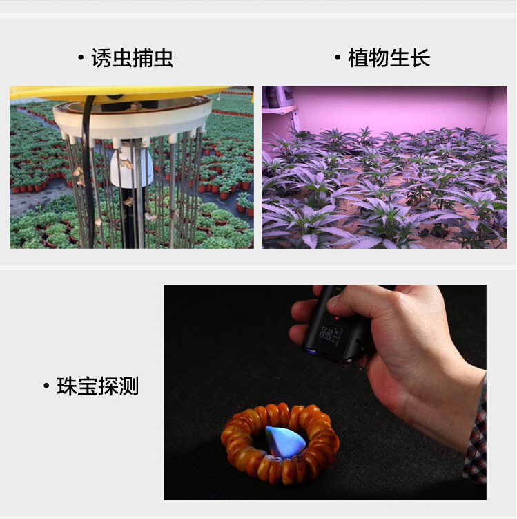 f5、f8圓頭及草帽式UV紫光LED燈珠
